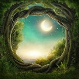 Magický pohľad cez kruh lesa