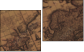 Diptych