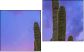 Diptych