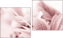 Diptych