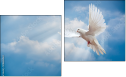 Diptych