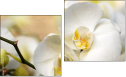 Diptych