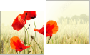 Diptych