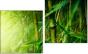 Diptych