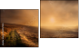 Diptych