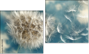 Diptych