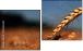 Diptych
