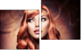 Diptych