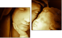 Diptych