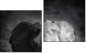 Diptych