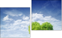 Diptych