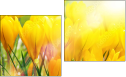 Diptych