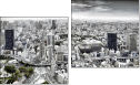 Diptych