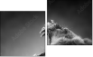 Diptych