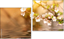 Diptych