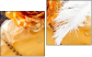 Diptych