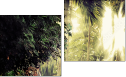 Diptych
