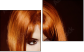Diptych