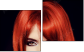 Diptych