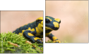 Diptych