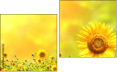 Diptych