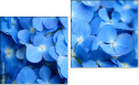 Diptych
