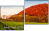 Diptych
