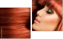Diptych
