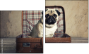 Diptych