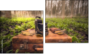 Diptych