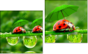 Diptych