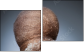 Diptych