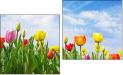 Diptych
