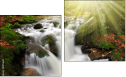 Diptych