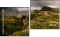 Diptych