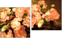 Diptych