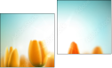 Diptych