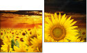 Diptych
