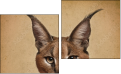 Diptych