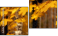 Diptych