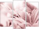 Triptych