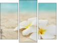 Triptych