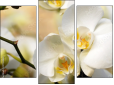Triptych