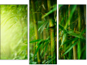 Triptych