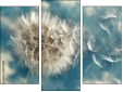 Triptych