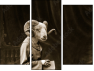 Triptych