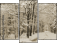Triptych