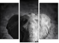 Triptych