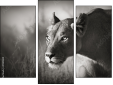 Triptych