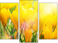 Triptych